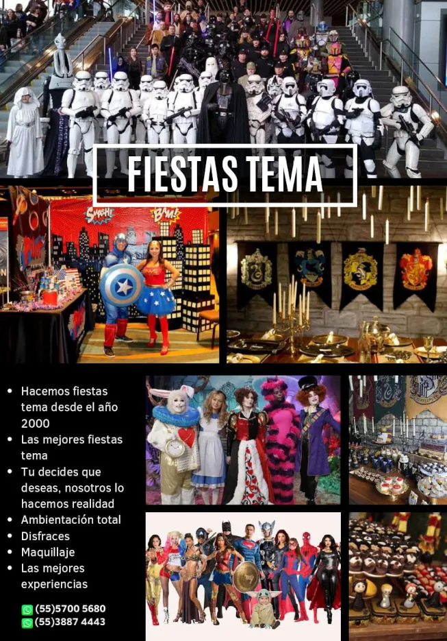 organizacion de fiestas tema